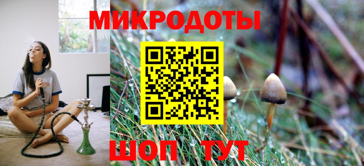 магазин продажи   Вход с VPN  Отрадный  Галлюциногенные грибы прущие грибы  Псилоцибиновые грибы прущие грибы 